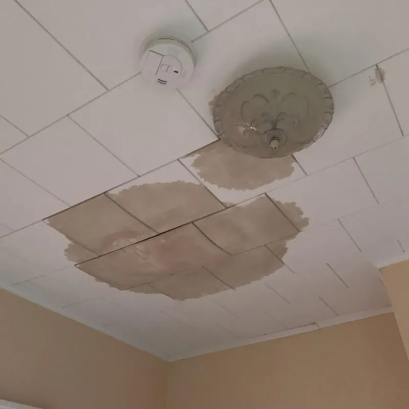 Ceiling Water Damage Repair in North Bibb, AL