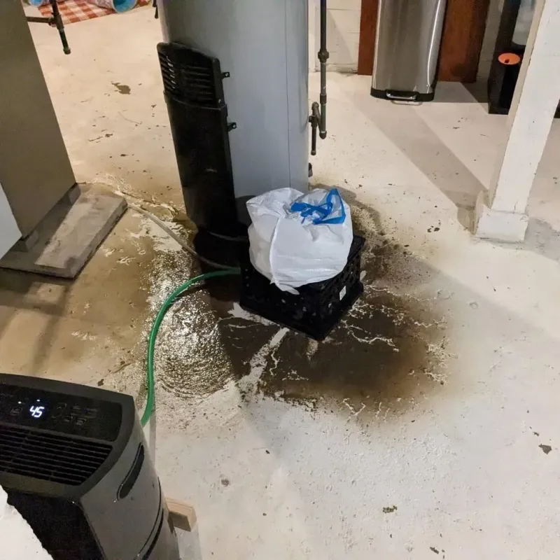 Sewage Backup Cleanup Service in North Bibb, AL